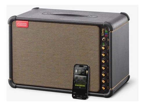 Amplificador Positive Grid Spark Live 4 Canais & Sistema Pa