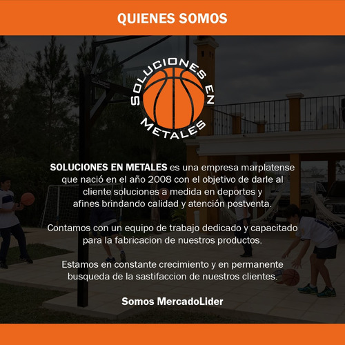 Aro De Basquet Profesional 10 Años De Garantia Con Red