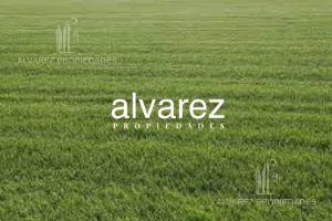 Imagen 1 de 1 de Terreno - Ituzaingó Sur