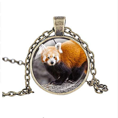 Collar Colgante Oso Panda Rojo Joyeria Vintage Animal Para