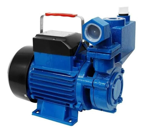Imagen 1 de 6 de Bomba Periferica Autocebante 1 Hp Succiona En Red Igoto