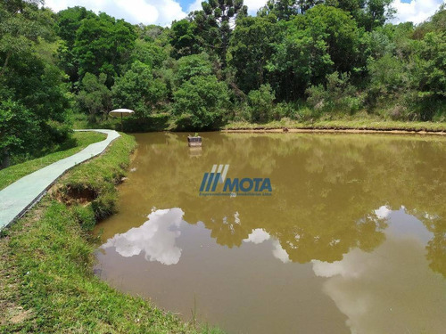 Chácara Com 5 Dormitórios À Venda, 45824 M² Por R$ 850.000 - Quatro Pinheiros - Mandirituba/paraná - Ch0173