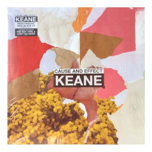 Vinilo Keane Cause And Effect