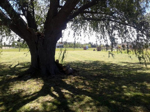 Imagen 10 de 12 de Lote En Barrio De Quintas Los Fresnos Uribelarrea