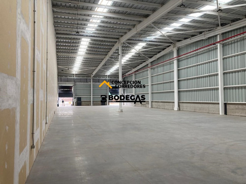 Arriendo Bodega Nueva De 800 M2 En Lo Espejo Con Ruta 5.