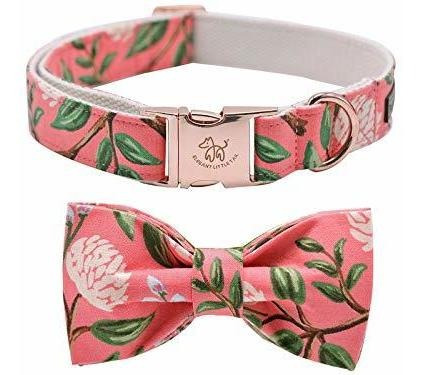 Elegante Collar De Perros Con Tazón, Collar De Perros 8b8yk