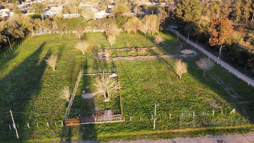 Imagen 3 de 30 de Lote Terreno En Venta 300 M2 - Parques Del Morenito, Moreno Norte