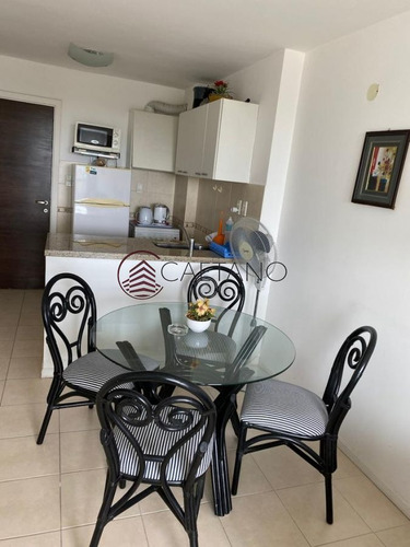 Imagen 11 de 22 de Alquila Apartamento 1 Dormitorio , 1 Baño - Punta Del Este Roosevelt