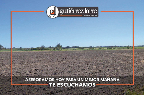 Campo 28 Ha Panorámicas Con Buenas Aguadas Naturales