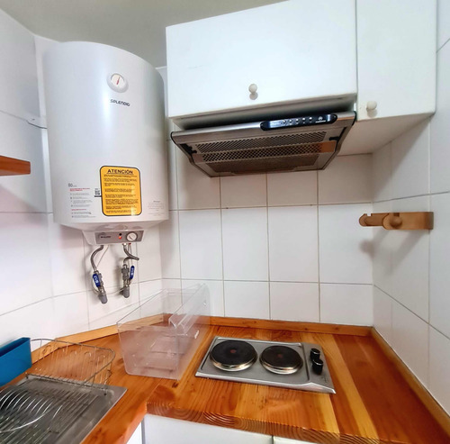 Gastos Comunes Incluidos, 1 Dormitorio, Lavadora, Amoblado.