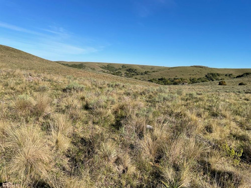 240 Has- Rivera - Ideal Inversor U$ 1500/ha