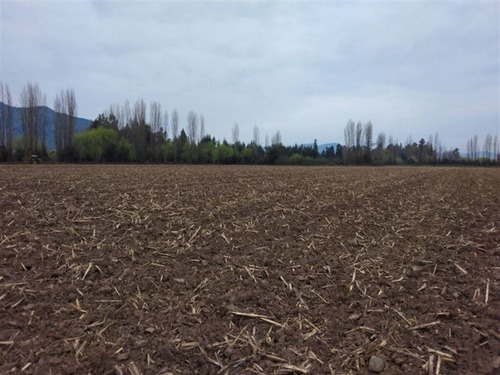 Sector Pencahue| (74921)