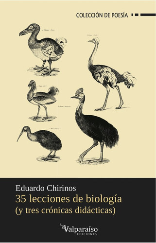 35 Lecciones De Biologãâa (y Tres Crãâ³nicas Didãâ¡cticas), De Chirinos Arrieta, Eduardo. Editorial Valparaíso Ediciones, Tapa Blanda En Español