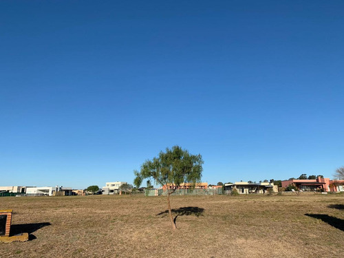 Imagen 3 de 13 de Hermoso Lote Central Con Fondo Libre Y Verde En El Area 12 - San Sebastián