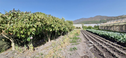 Tu Refugio Soñado En Quillota Te Espera, Parcela En Venta.-