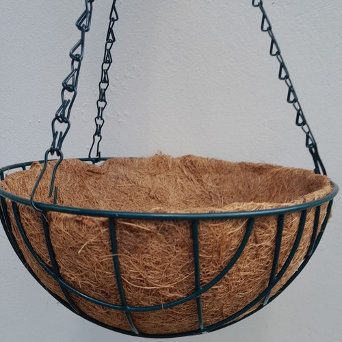 Vaso De Coco Suspenso Redondo Vertical Orquídea Ornamentais