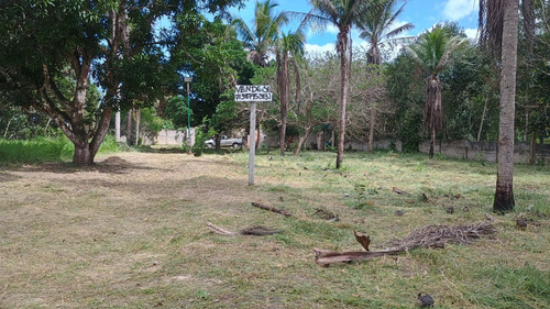 Sítio Em Aramari Próximo A Alagoinhas