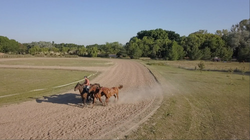 Imagen 4 de 5 de Club De Polo - Pilar