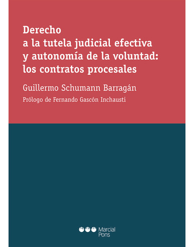 Libro Derecho A La Tutela Judicial Efectiva Y Autonomia De