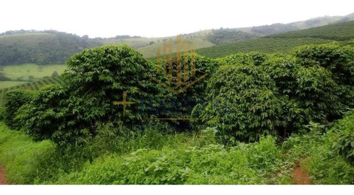Imagem 7 de 15 de Fazenda Para Venda Em Ouro Fino, - - Fazenda 0_1-2221666