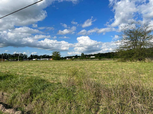 Imagen 4 de 13 de Líquido!!! Lote De Terreno En Venta De 1250 M2 En San Miguel Del Monte