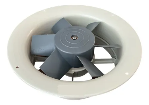Extractor De Aire 10 Pulgadas Industrial Aspa Plástica