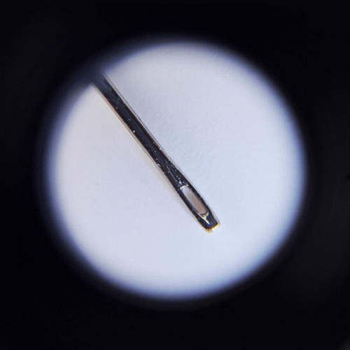 Mini Microscopio Portátil Con Luz Uv Incorporada Y Hd Led 10