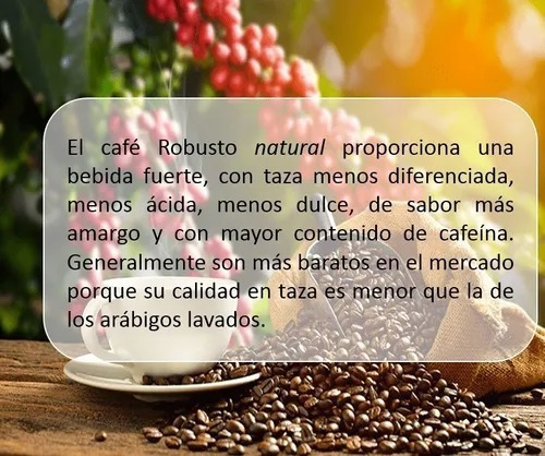 Imagen 4 de 6 de Cafe Italiano Lavazza Gusto Forte Espresso Grano 1kg