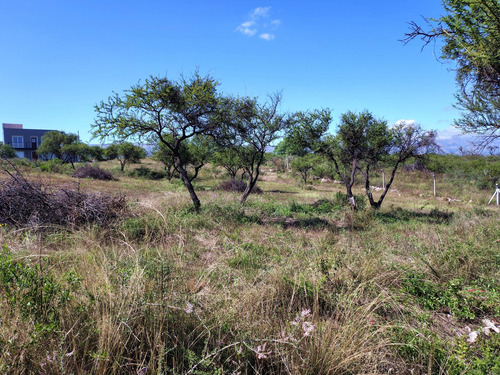 Venta Bellísimo Terreno En Arroyo De Los Patos Financiado