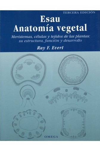 Esau Anatomia Vegetal 3ªed - Evert,ray F