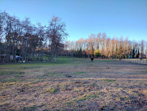 Imagen 3 de 16 de Venta Terreno Zona El Paraiso Tandil