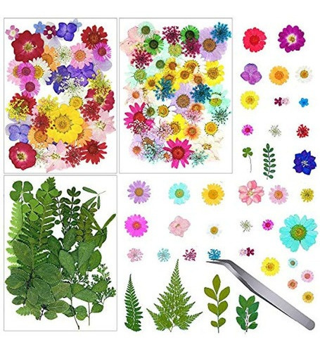 Stickers Para Uñas 105 Hojas De Flores Secas Reales