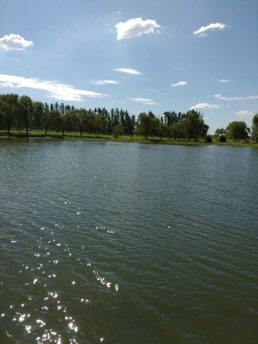 Imagen 3 de 3 de Lote En Chacras De Abbott