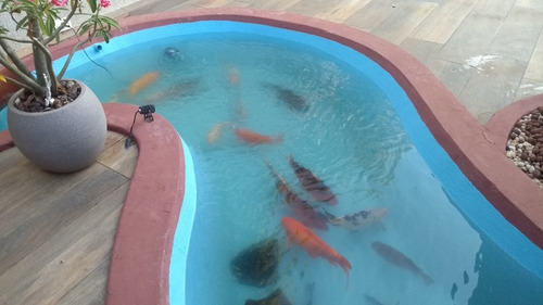 Imagem 5 de 7 de Tinta Piscina Base Agua Recubriplast 10 Lts