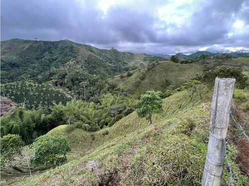 Venta De Finca En Vereda Paramillo, Fresno, Tolima