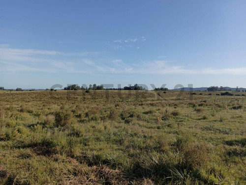 Venta Muy Buen Campo De 78 Hectáreas, Zona Muy Accesible Y De Hermosas Vistas.