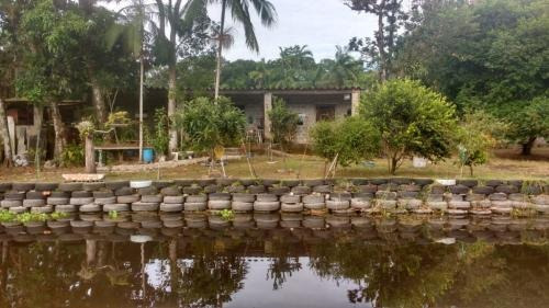 Chácara Com Área De 2 Mil Mts Em Itanhaém Sp - 6821 | Npc