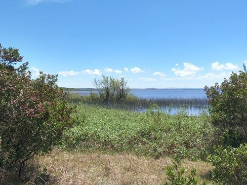 Imagen 15 de 17 de Terreno De 4.374 Mts2 Con Costa A Laguna Del Sauce