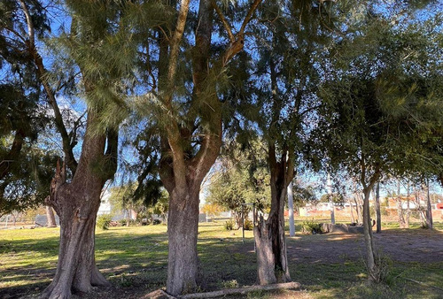 Lotes En Venta San Carlos, La Plata 149 Y 42, La Plata - 9.85 X 28.0m