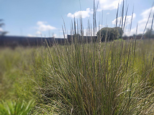 Venta De Terreno Ejidal En Cacalomacan Toluca