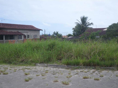 Imagem 3 de 3 de Terreno - Venda - Regina - Itanhaem - Ita2207