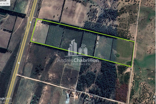 Imagen 15 de 15 de Campo En Venta De 20 Has. En Ruta Nacional 14