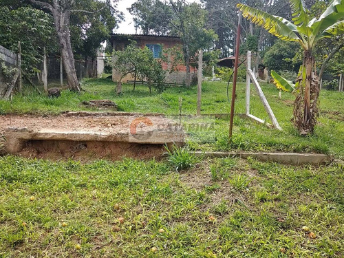 Imagem 7 de 7 de Lindo Terreno