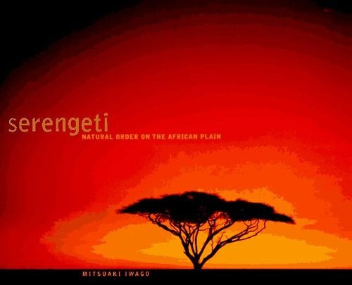 Serengeti Natural Order On The African Plain - Mitsuaki Iwag