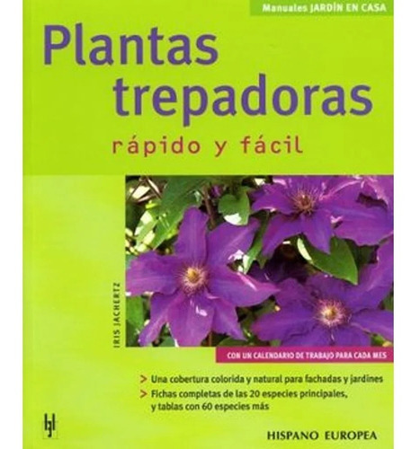 Plantas Trepadoras. Jardín En Casa