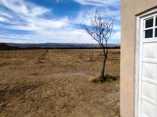 Imagen 8 de 8 de C19- 2 Has. Con Casa Y Pistachos En Acceso A Santa Rosa.