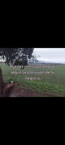 Rancho En Venta O Renta Irapuato