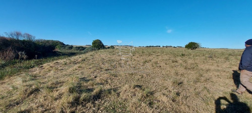 Imagen 13 de 28 de Venta Campo Ideal Para Fraccionar En Chacras Codigo 6003 - Las Garzas