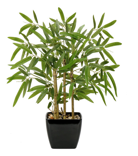 1 Lts Fertilizante Para Bambu Nutriplantas( Concentrado )