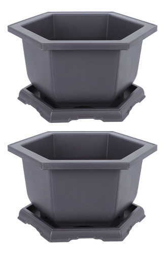 Maceta Hexagonal Suculent Planters